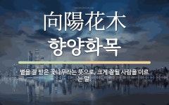 한자: 向陽花木 (향양화목)