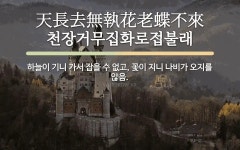한자: 天長去無執花老蝶不來 (천장거무집화로접불래)