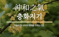 한자: 沖和之氣 (충화지기)