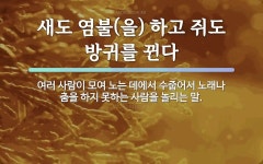 속담: 새도 염불(을) 하고 쥐도 방귀를 뀐다