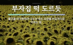 부자집떡방아 | 속담: 부자집 떡 도르듯