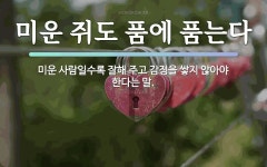 속담: 미운 쥐도 품에 품는다