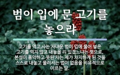 범이찜한고기 | 속담: 범이 입에 문 고기를 놓으랴