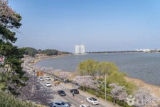 경포도립공원 관광 정보와 주변 관광 명소 및 근처 맛집 여행 정보