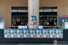 원주 백운아트홀 문화 정보와 주변 관광 명소 및 근처 맛집 여행 정보