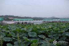 Foto aus Naver-Suchergebnissen 4