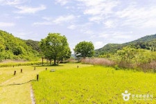 Ảnh kết quả tìm kiếm Naver 6
