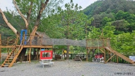 Foto aus Naver-Suchergebnissen 2