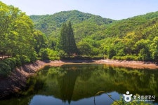 엔학고레Play | 엔학고레 (2026) - 충청남도 공주시 가볼만한곳 - 관광지랭킹