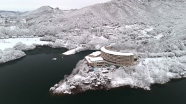 Foto aus Naver-Suchergebnissen 3