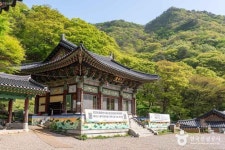 지에스더프레시(군포수리점) | 수리사(군포) 관광 정보와 주변 관광 명소 및 근처 맛집 여행 정보