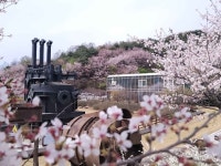 Foto de resultados de búsqueda de Naver 5