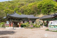 지에스더프레시(군포수리점) | 수리사(군포) 관광 정보와 주변 관광 명소 및 근처 맛집 여행 정보