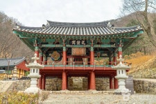 영지사 (2026) - 경상북도 영천시 가볼만한곳 - 관광지랭킹