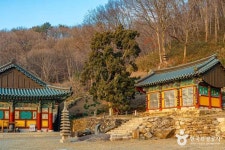 Naver search result photo 5