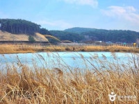 남대천연어생태공원 관광 정보와 주변 관광 명소 및 근처 맛집 여행 정보