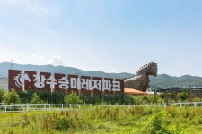 Foto de resultados de búsqueda de Naver 6
