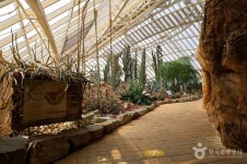 Фото из результатов поиска Naver 6