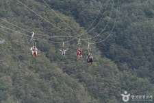 아리힐스 짚와이어 레저스포츠 정보와 주변 관광 명소 및 근처 맛집 여행 정보