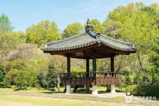 Ảnh kết quả tìm kiếm Naver 6