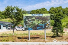 Foto de resultados de búsqueda de Naver 5
