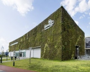 Foto aus Naver-Suchergebnissen 1