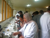 Experts Decide Ethiopia Has Best Coffee | Engoo 데일리뉴스 Experts Decide Ethiopia Has Best Coffee | Engoo 데일리뉴스