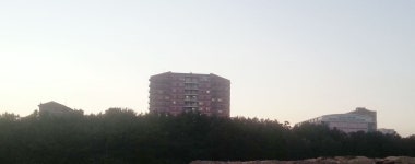 포항대학교