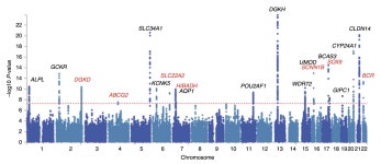 Genome-wide association study