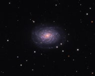 NGC 5962