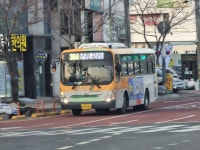 성심특수여객자동차 - 서초구 사평대로 140 | 남성여객