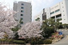 부산가톨릭대학교