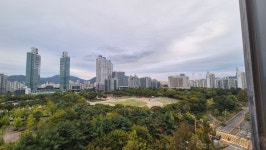 평촌중앙공원