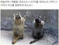 오버워치 인벤 : 근데지금 자리야메타가 아닌데 - 오버워치 인벤 자유게시판 근데지금 자리야메타가 아닌데