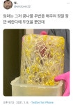 청주생고기콩나물무밥전문 | 메이플스토리 인벤 : 콩나물 무밥.jpg - 메이플스토리 인벤 자유게시판