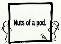 Read Nuts of a pod. | Tapas Web Community