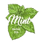 MINT HOUSE(박하집) | 박하와 격리 된 손으로 그린 마커 그림 레이블입니다. 스피어민트... 박하와 격리 된 손으로 그린 마커 그림 레이블입니다. 스피어민트 식물학...