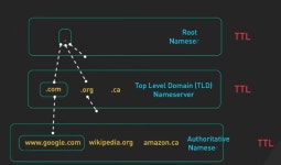DNS 시스템 설계
