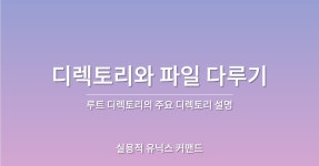 루트 디렉토리의 주요 디렉토리 설명