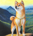 #회의실배정 - velog