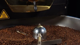 288 Decaf Stock Footage and Video Clips in 4K and UHD - 123RF