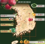 이제 1등급 사과 생산지는 강원도? - 헤럴드경제 이제 1등급 사과 생산지는 강원도?