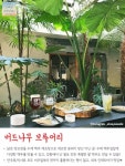 꼬랑숯불구이 | 꼬랑 강릉여행 | 세상의 모든 여행, 위시빈