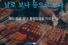 모로보나(MOROBONA) | 속담: 날로 보나 등으로 보나 속담: 날로 보나 등으로 보나