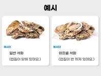 석화연서면본점거제 | 거제도에서 직접 키운 석화 하프쉘 | 산골어부 | 꽃피는아침마을