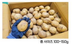 계화산농장.꽃.농산물.잡화 | 하늘농부 유기농 햇감자(중) 10kg | 하늘농부 농장-친환경 농산물나눔터 | 꽃피는아침마을