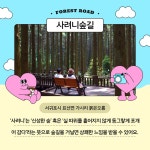암마여행사&환전 | 여행상품 < 여행정보 상세 | 통합예약 여행상품