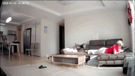 동물자유연대 : 샬롯(구 포아)이 온지 1년 5개월❤️ 샬롯(구 포아)이 온지 1년 5개월❤️