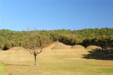 Buyeo 10 Scenic Views > Cultural Tour > 부여군청