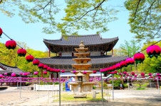 Buyeo 10 Scenic Views > Cultural Tour > 부여군청